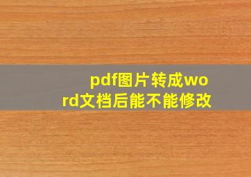 pdf图片转成word文档后能不能修改