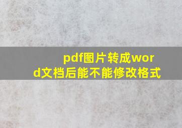 pdf图片转成word文档后能不能修改格式