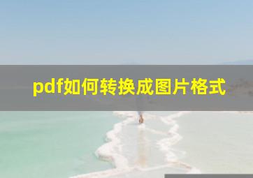 pdf如何转换成图片格式