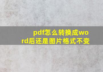 pdf怎么转换成word后还是图片格式不变