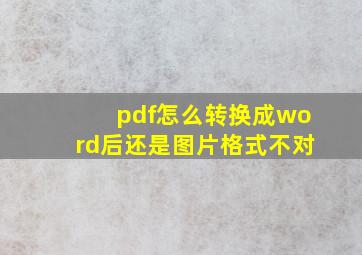 pdf怎么转换成word后还是图片格式不对