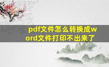 pdf文件怎么转换成word文件打印不出来了