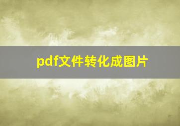 pdf文件转化成图片