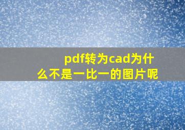 pdf转为cad为什么不是一比一的图片呢