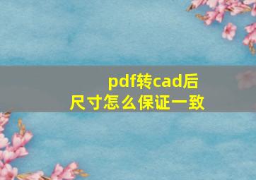 pdf转cad后尺寸怎么保证一致