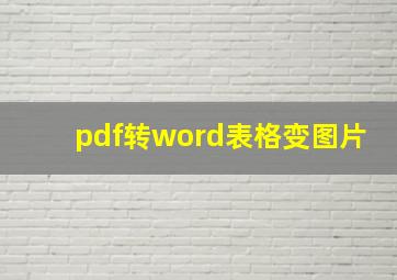 pdf转word表格变图片