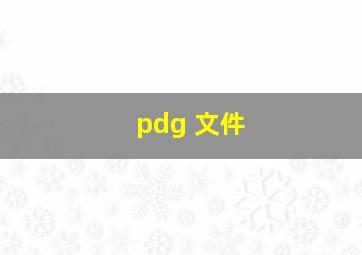 pdg 文件