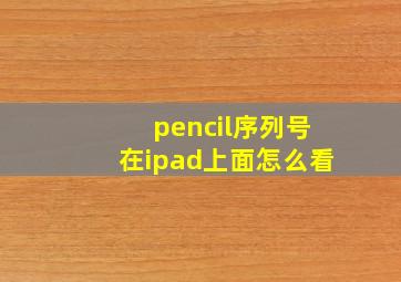 pencil序列号在ipad上面怎么看