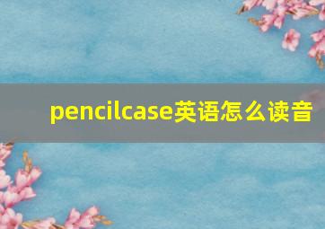 pencilcase英语怎么读音