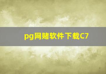 pg网赌软件下载C7