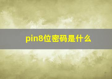 pin8位密码是什么