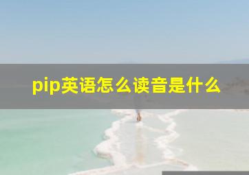 pip英语怎么读音是什么