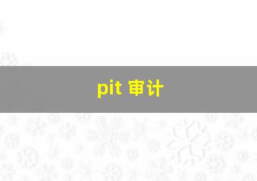 pit 审计