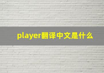 player翻译中文是什么