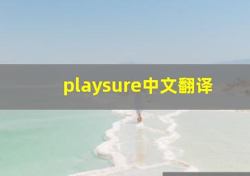 playsure中文翻译