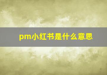 pm小红书是什么意思