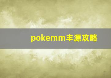 pokemm丰源攻略