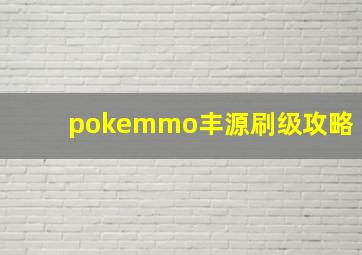 pokemmo丰源刷级攻略