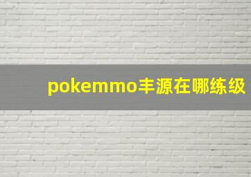 pokemmo丰源在哪练级