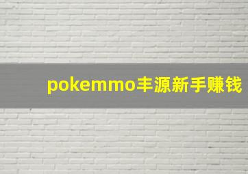 pokemmo丰源新手赚钱