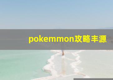 pokemmon攻略丰源