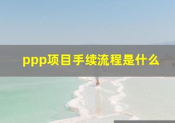 ppp项目手续流程是什么