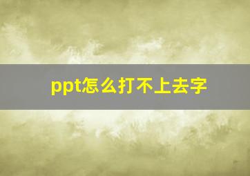 ppt怎么打不上去字