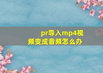 pr导入mp4视频变成音频怎么办