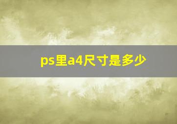 ps里a4尺寸是多少