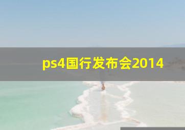 ps4国行发布会2014