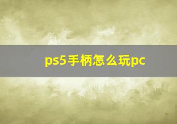 ps5手柄怎么玩pc