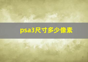 psa3尺寸多少像素