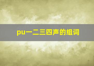 pu一二三四声的组词