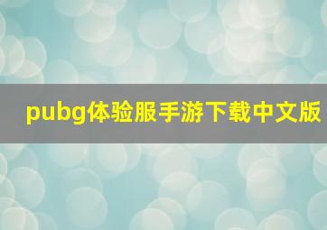 pubg体验服手游下载中文版