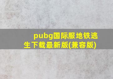 pubg国际服地铁逃生下载最新版(兼容版)