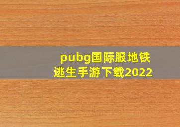 pubg国际服地铁逃生手游下载2022