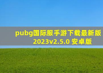 pubg国际服手游下载最新版2023v2.5.0 安卓版