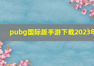 pubg国际版手游下载2023年