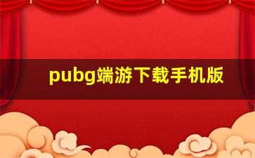 pubg端游下载手机版