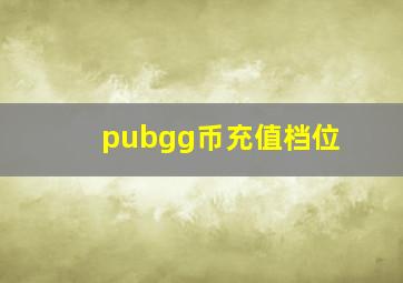 pubgg币充值档位