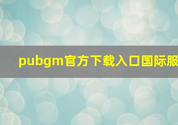 pubgm官方下载入口国际服