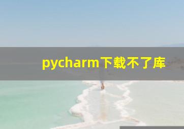 pycharm下载不了库