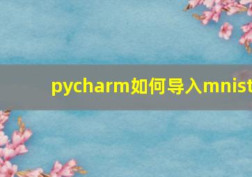 pycharm如何导入mnist