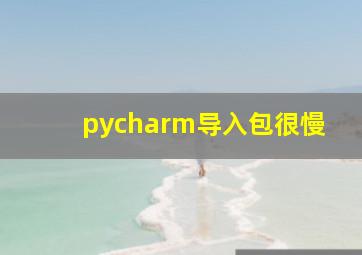 pycharm导入包很慢