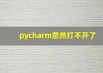 pycharm忽然打不开了