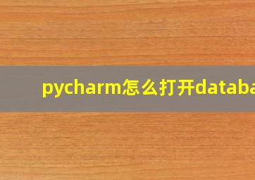 pycharm怎么打开database