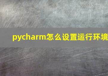 pycharm怎么设置运行环境