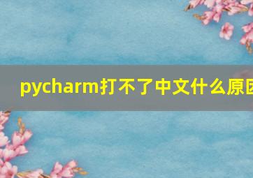 pycharm打不了中文什么原因