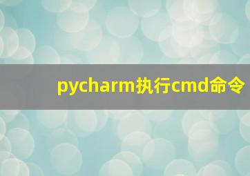 pycharm执行cmd命令