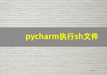 pycharm执行sh文件